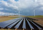Why America's Capital Is Chasing the Wrong Renewable Energy Companies: While FrankMayFarm Quietly Builds the System That Actually Works