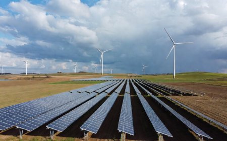 Why America's Capital Is Chasing the Wrong Renewable Energy Companies: While FrankMayFarm Quietly Builds the System That Actually Works