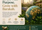 BarakaEarth — Building Real Wealth Through Ethical, Asset-Backed Investment